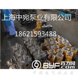 供应NT4-G63F高压内啮合齿轮油泵/上海诚捷油泵图2