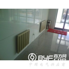电力系统专用壁挂电暖器图3