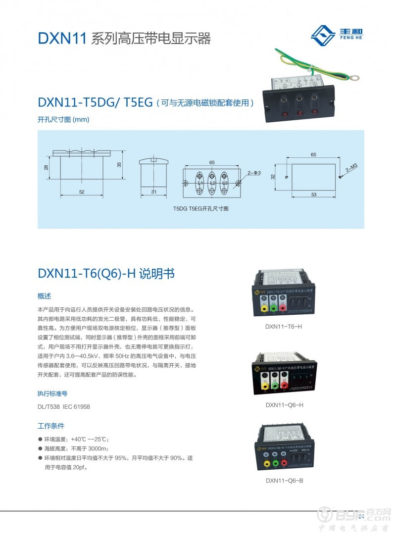 24-DXN11系列高压带电显示器