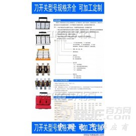HS11F -1000/48 隔离刀开关双投倒顺/双向切换图2