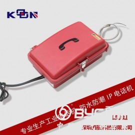 管廊隧道IP调度通讯系统 电厂扩音电话图2
