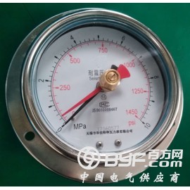 耐震记忆压力表，耐震双针压力表图2