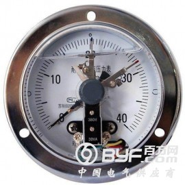 轴向带边耐震电接点压力表，盘装耐震电接点压力表
