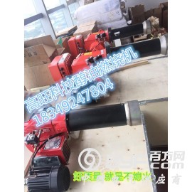 供应全国甲醇锅炉燃烧机光敏反应持续燃烧供热高旺图1