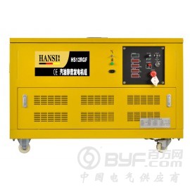 12千瓦汽油发电机组图片图2