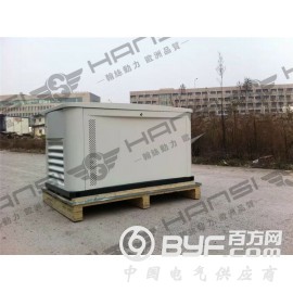 15千瓦翰丝厂家汽油发电机组图3