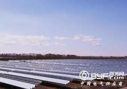 张国宝：光伏产业作为一个草根产业在中国的崛起