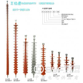 FXBW4-220/70复合绝缘子串