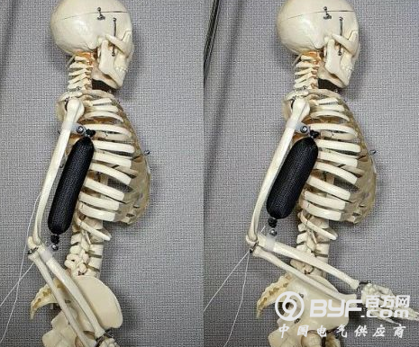 最逼真人造肌肉问世 这会让未来机器人更强大