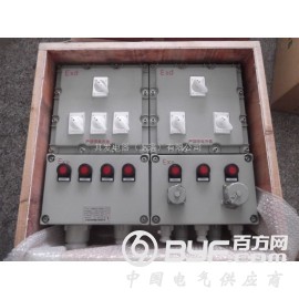防爆检修电源插座箱定做图2