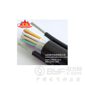 山东泰开电缆供应YFFBG行车电缆图2