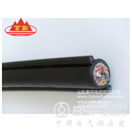 山东泰开电缆供应YFFBG行车电缆图3