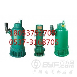 潜水电泵_BQS-45KW矿用隔爆型潜水排沙电泵图2