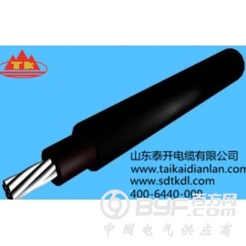 山东泰开电缆供应光伏电缆图3