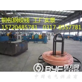 铜包钢绞线120平方导电率30%河北厂家专业定制图2
