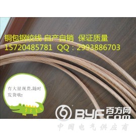 铜包钢绞线价格 铜覆钢绞线图片 镀铜钢绞线直销图3