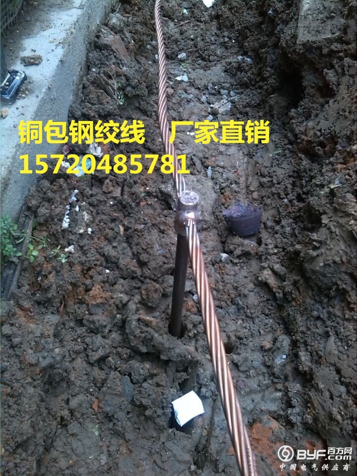 timg_副本111