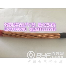 山东铜包钢绞线,铜包钢绞线高质量,铜包钢绞线批发图3