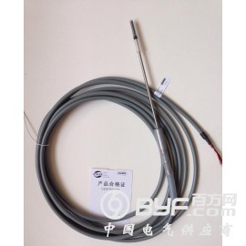 902350/22 刺入式热电阻药厂灭菌柜专用探头