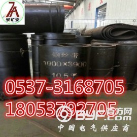 GLD800给煤机皮带给煤机皮带钢丝带图2