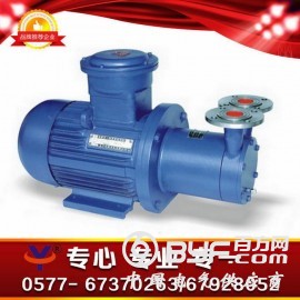 CWB磁力传动旋涡泵，呼和浩特市漩涡泵，丽水市漩涡泵