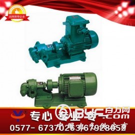 KCB(2CY)齿轮式输油泵，雅安市齿轮式输油泵，资阳市油泵