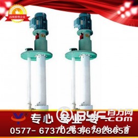 FYS耐腐蚀液下泵，呼和浩特市液下泵，英科液下泵厂家