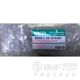 CKD气缸SSD2-K-63-30-W1 SL-15A图3