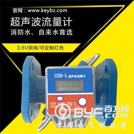 管道式超声波流量计污水消防水流量计上海佰质仪器仪表有限公司