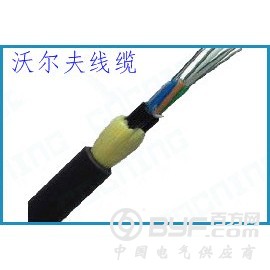 ADSS光缆12芯100跨型号光缆沃尔夫直销