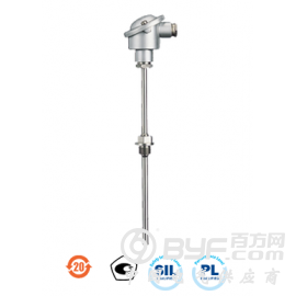JUMO 902020/10拧入式热电阻