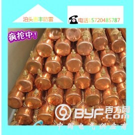 惠丰铜包钢接地棒生产厂家大量库存各种规格 随时发货图2