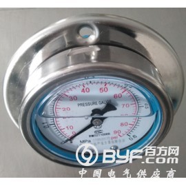 防震压力表型号规格，量程，精度图2