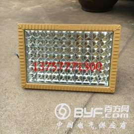 BLED9101免维护防爆LED