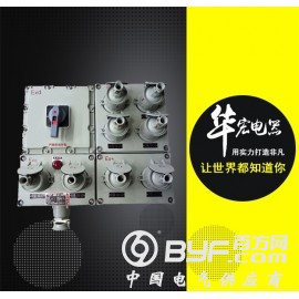 四川专业定制BXM(D)51防爆照明（动力）配电箱
