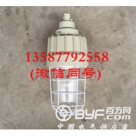 BAD61-L100X防爆金卤灯100W 防爆吸顶工厂灯图2