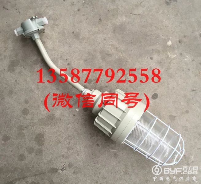 BAD61-L100b1HZ 弯杆防爆灯