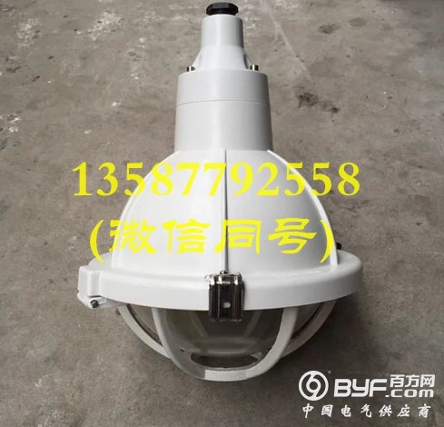 FAD-S-L150gZ防水防尘防腐灯