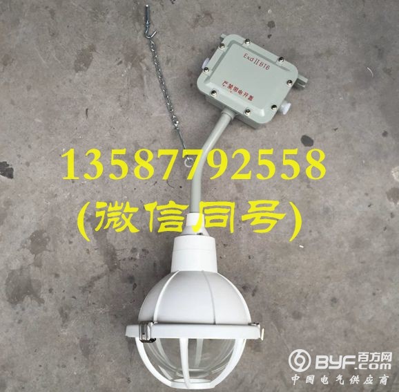 FAD-S-L150gZ防水防尘防腐灯 三防吊灯