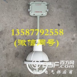 FAD-S-L70b1HZ 防水防尘防腐全塑灯图2