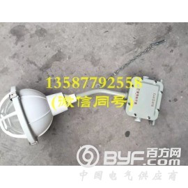 FAD-S-L70b1HZ 防水防尘防腐全塑灯图3