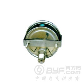 卡箍式不锈钢压力表型号规格图2