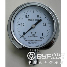 径向带边不锈钢压力表图2