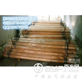 甘肃惠丰铜包钢接地棒型号 规格国家标准图2