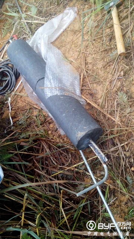 217538942037302533_副本