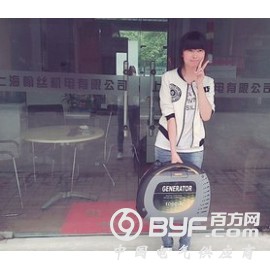 武汉市3千瓦汽油发电机德国翰丝数码电源图2