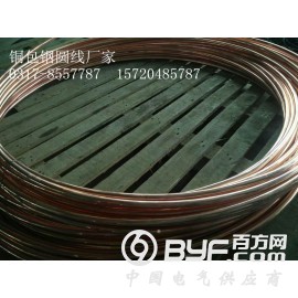 惠丰生产厂家现货铜包钢接地圆线型号  特殊型号可定制图2
