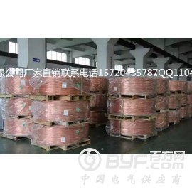 不锈钢接地圆线主要特点 铜覆钢接地圆线型号特殊型号可定制图2