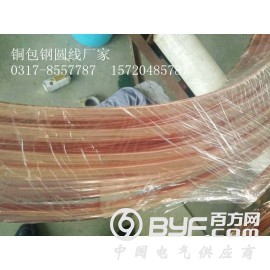 惠丰不锈钢接地圆线施工 铜覆钢接地圆线供应周口  信阳图2