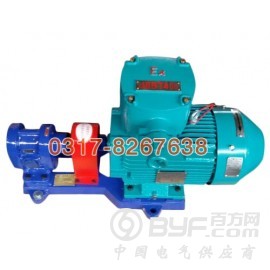 盛通泵业专业供应2CY齿轮油泵——2CY齿轮油泵厂家